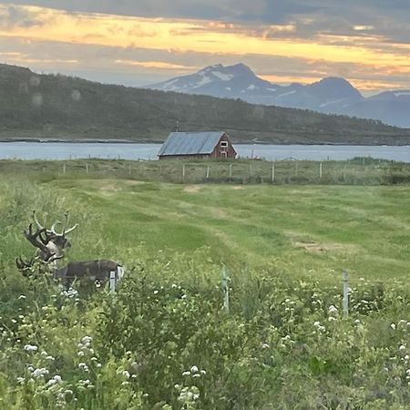 Hos Laura & Valdemar Villa Nord-Lenangen Exteriör bild