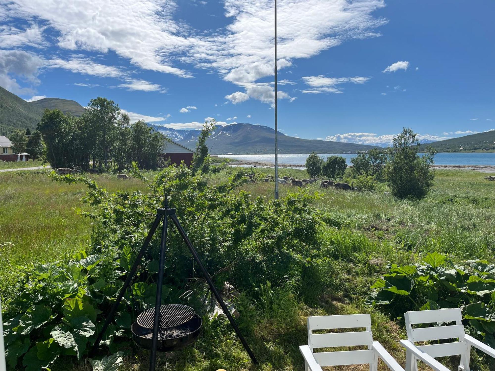 Hos Laura & Valdemar Villa Nord-Lenangen Exteriör bild